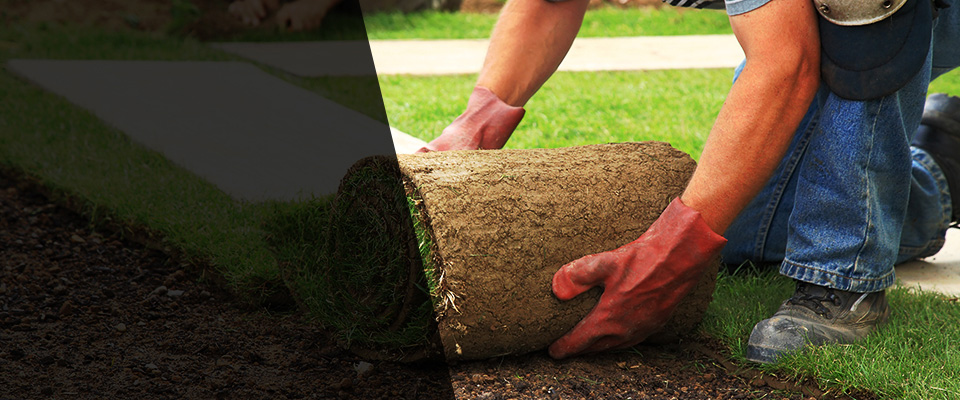 Oxford Landscapers